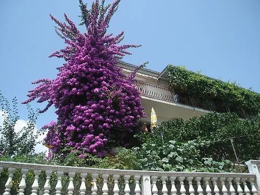 Apartment Knez Trogir